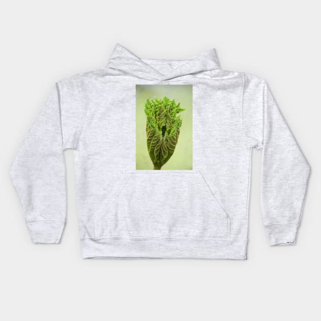 Triffids in the spring ! Kids Hoodie by JohnDalkin